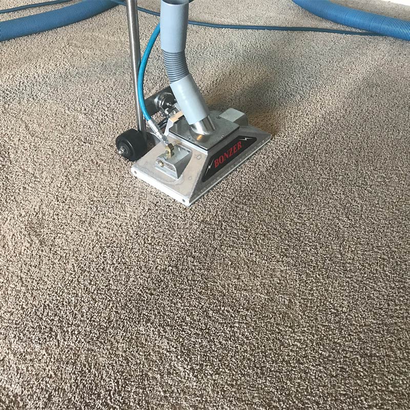 Professional Carpet Cleaning in Medford, OR Carpet Cleaning Bros