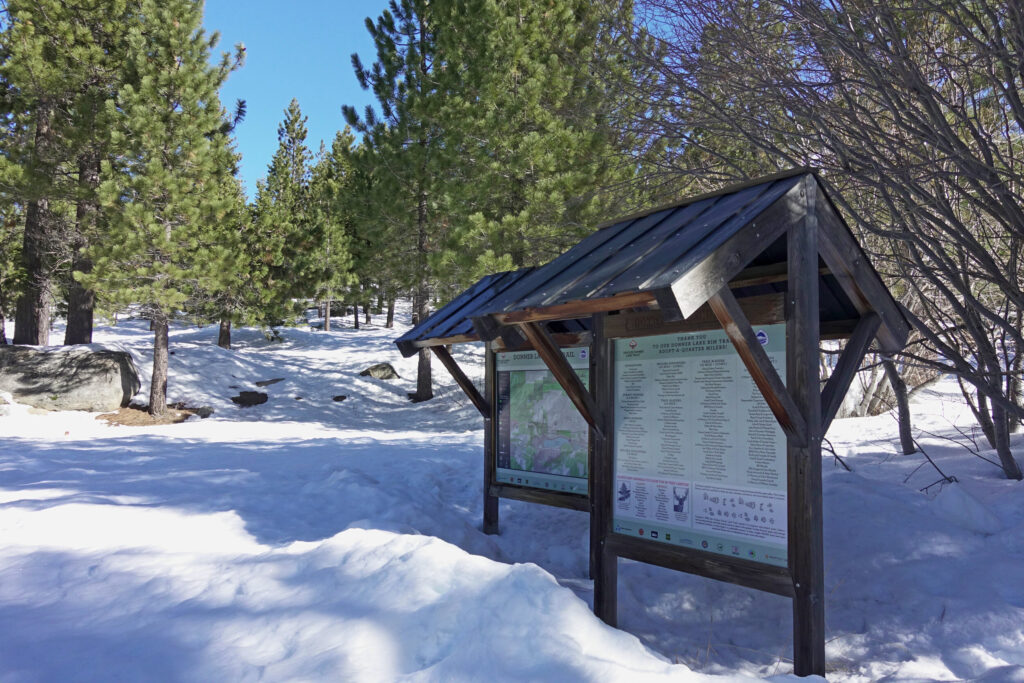 Go sledding at Johnson Canyon in Truckee.
