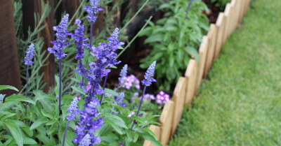 How To Design a Garden Border (With Examples) | GroveGypsy