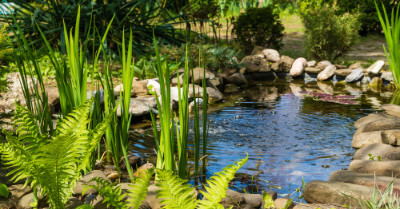 How to Design a Garden Pond | GroveGypsy