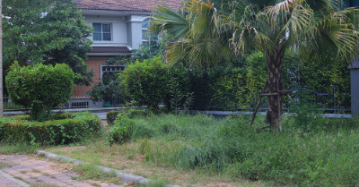 Average Cost Of Landscaping A Backyard | GroveGypsy