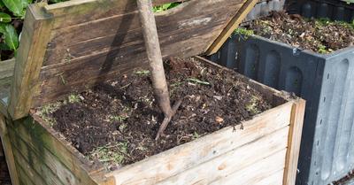 Soil Amendment Vs Compost | GroveGypsy