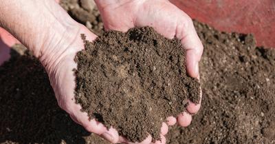 Soil Activator vs Fertilizer | GroveGypsy