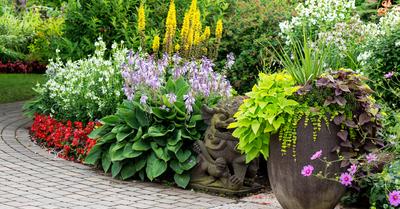 Design A Flower Garden Layout Step-by-Step | GroveGypsy