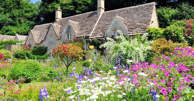 What Is Cottage Garden Design? | GroveGypsy