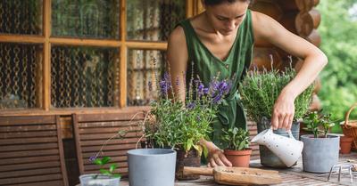 Best Plants For Your Home Garden | GroveGypsy