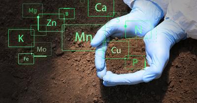 Soil Vs Dirt | GroveGypsy