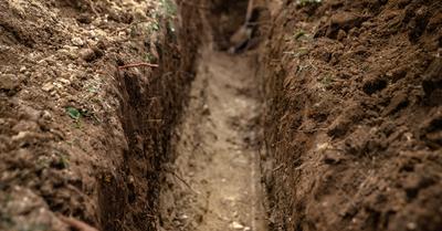 Soil Builder Vs Topsoil | GroveGypsy