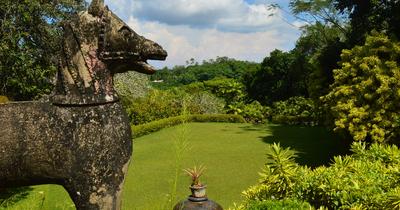 How To Write A Garden Design Brief | GroveGypsy