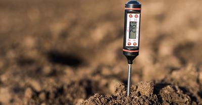 Soil vs Air Temperature | GroveGypsy