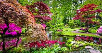 How To Design a Japanese Garden | GroveGypsy