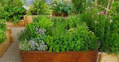 How To Design an Herb Garden | GroveGypsy