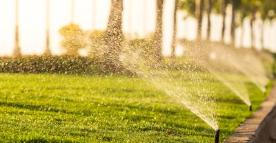 How To Design Garden Sprinkler System | GroveGypsy