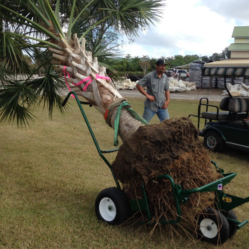 The Landscaper's Buddy Heavy Duty Utility Cart