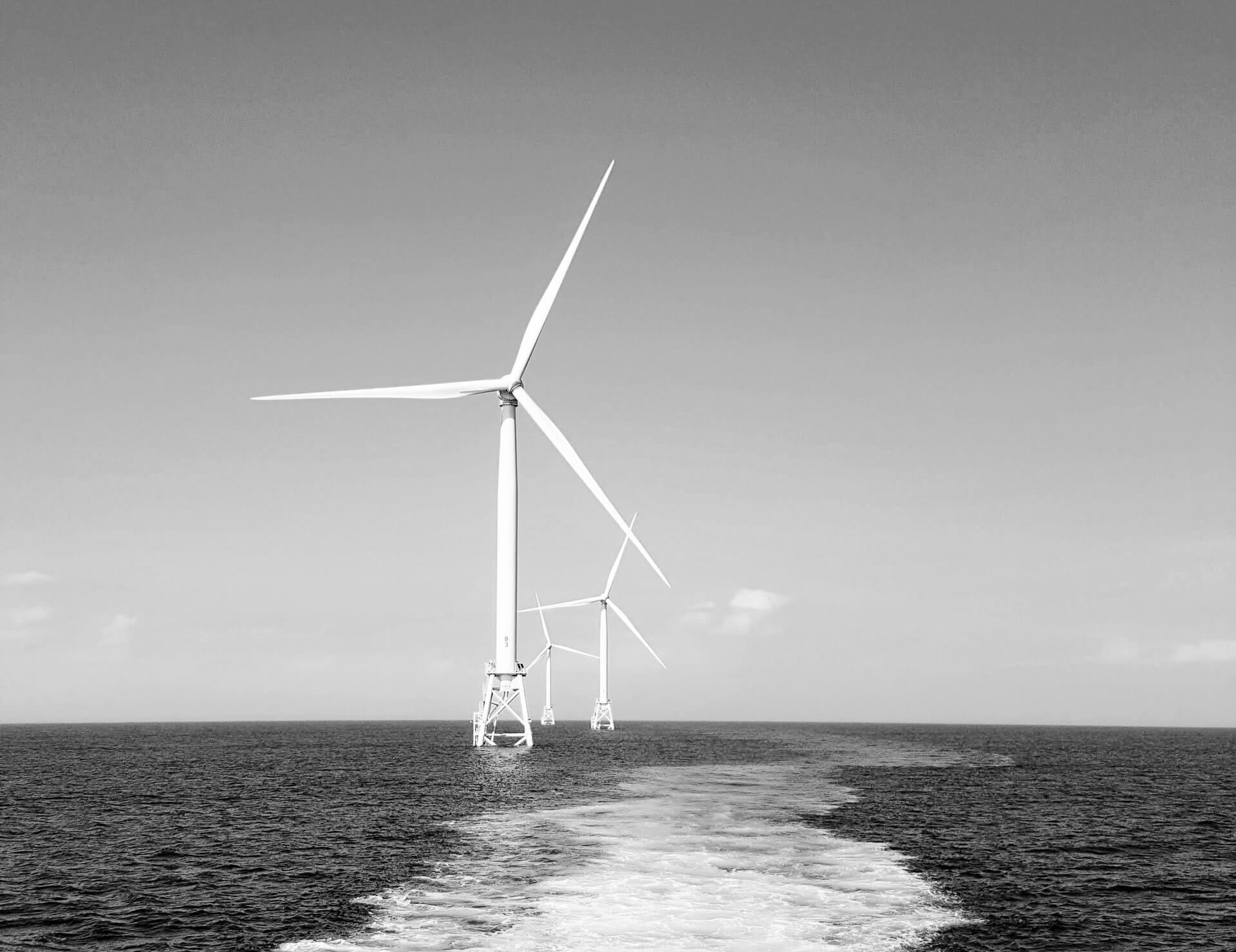 Windmills in a crop field.