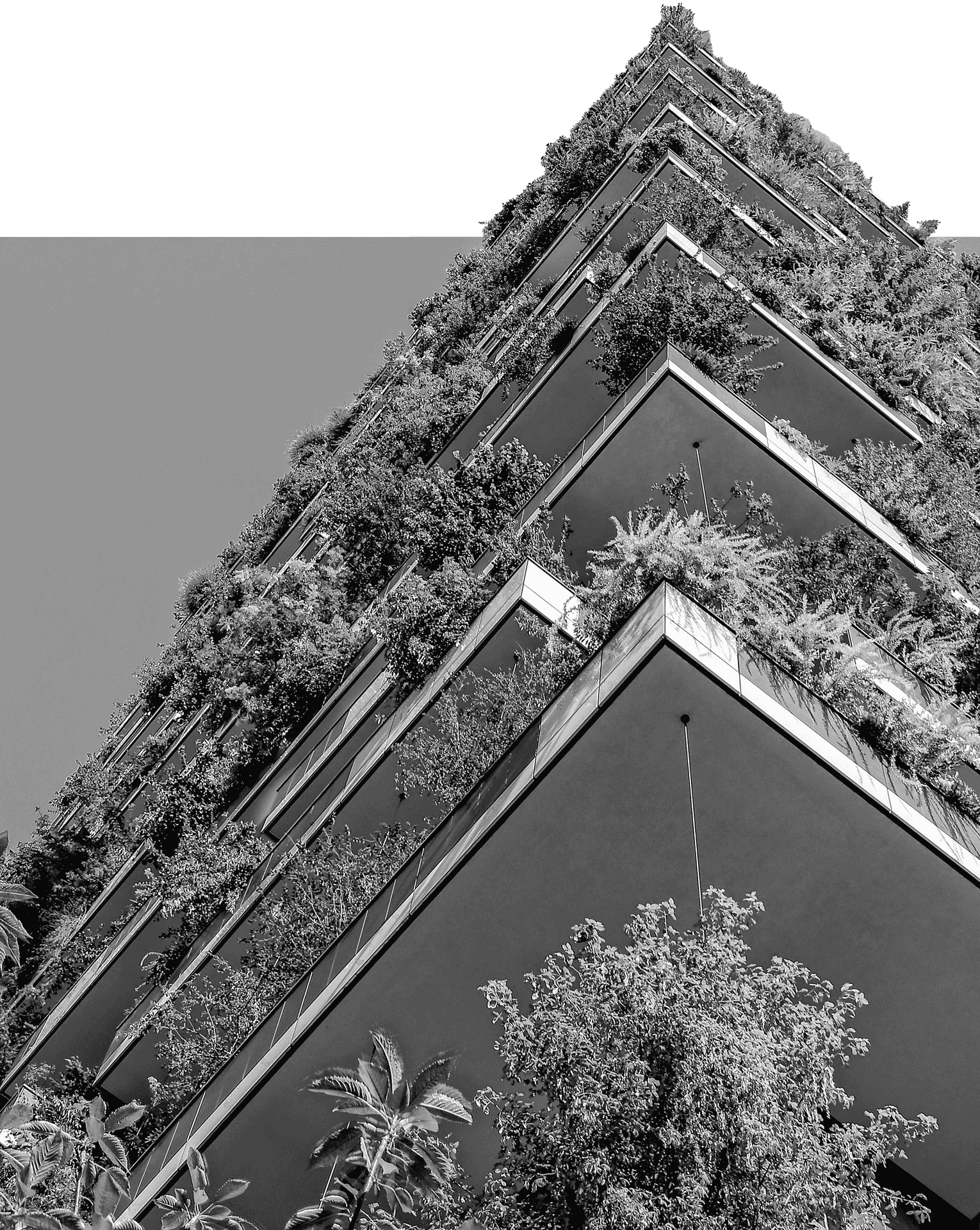 Abstract photo of a building filled with plants.