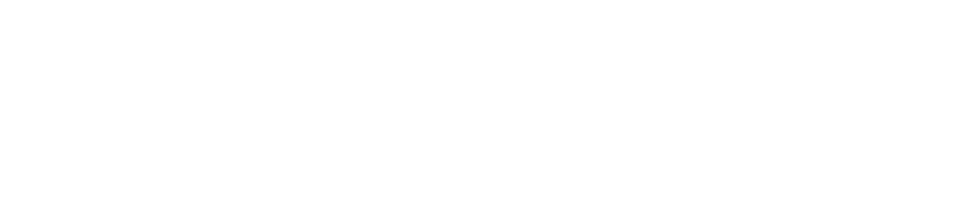 mcewen logo (white)