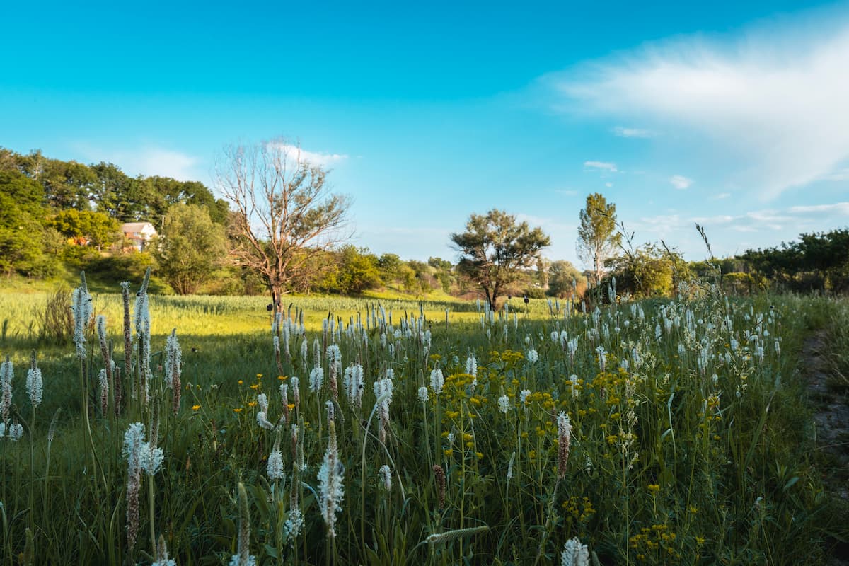 Le sol vivant, clé du débat sur les modes d’agriculture