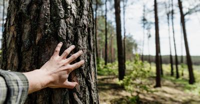 How Can Resource Conservation Benefit The Environment? | Renew Method