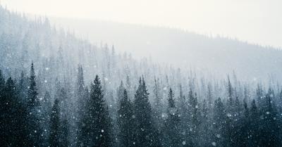 Effects of Blizzards on the Environment | Renew Method