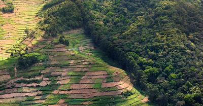 Why Is Land Conservation Important? | RenewMethod