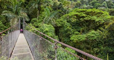 Which Biome Has The Most Biodiversity? | Renew Method