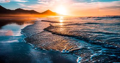 What Biome Covers Most Of The Earth? | Renew Method