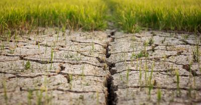 Soil Degradation Solutions | Renew Method