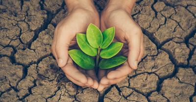 Conservation Vs Preservation | RenewMethod
