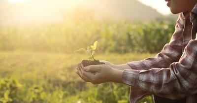 Land Preservation Vs Conservation | Renew Method