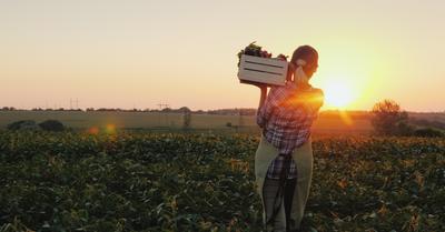 How Can Farmers Help Protect Land Resources? | RenewMethod