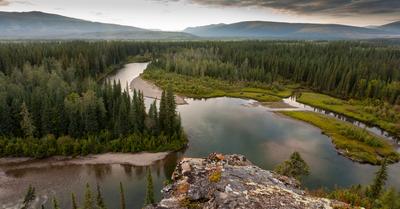 What Is The Largest Biome On Earth? | Renew Method