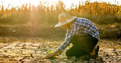 How To Stop Land Degradation | RenewMethod