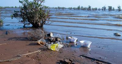 Facts About Water Pollution | Renew Method