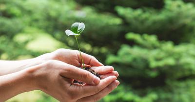 How To Donate Land For Conservation | RenewMethod