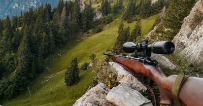 What Is The Hunter's Role In Wildlife Conservation? | RenewMethod