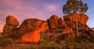 What Is Land Conservation? | RenewMethod