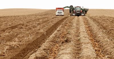 What Is Soil Conservation? | Renew Method
