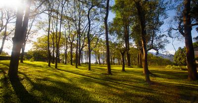 What Can Conservation Land Be Used For? | RenewMethod