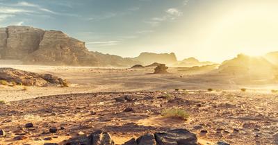 Where Is The Desert Biome Located? | Renew Method