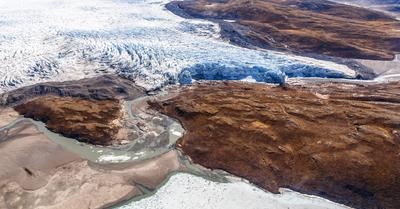 Which Biome Is Found Near The Polar Ice Caps? | Renew Method