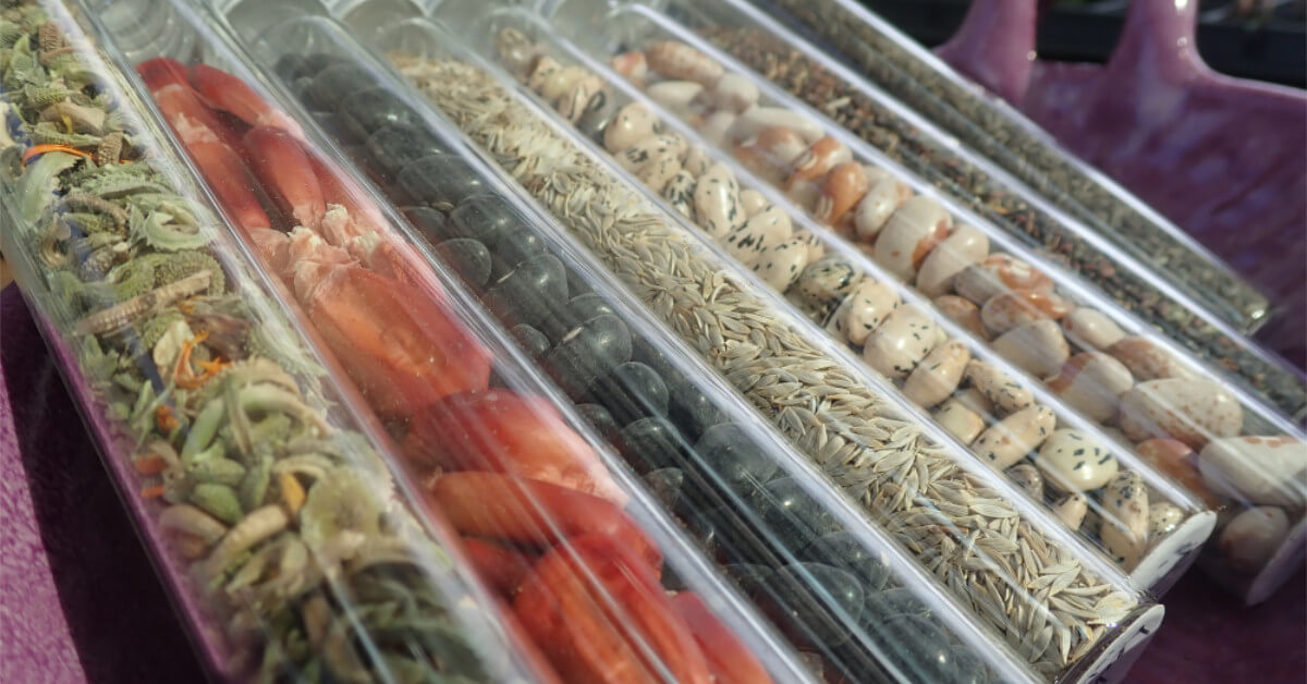 What Is Dry Food Storage? Build a Stash