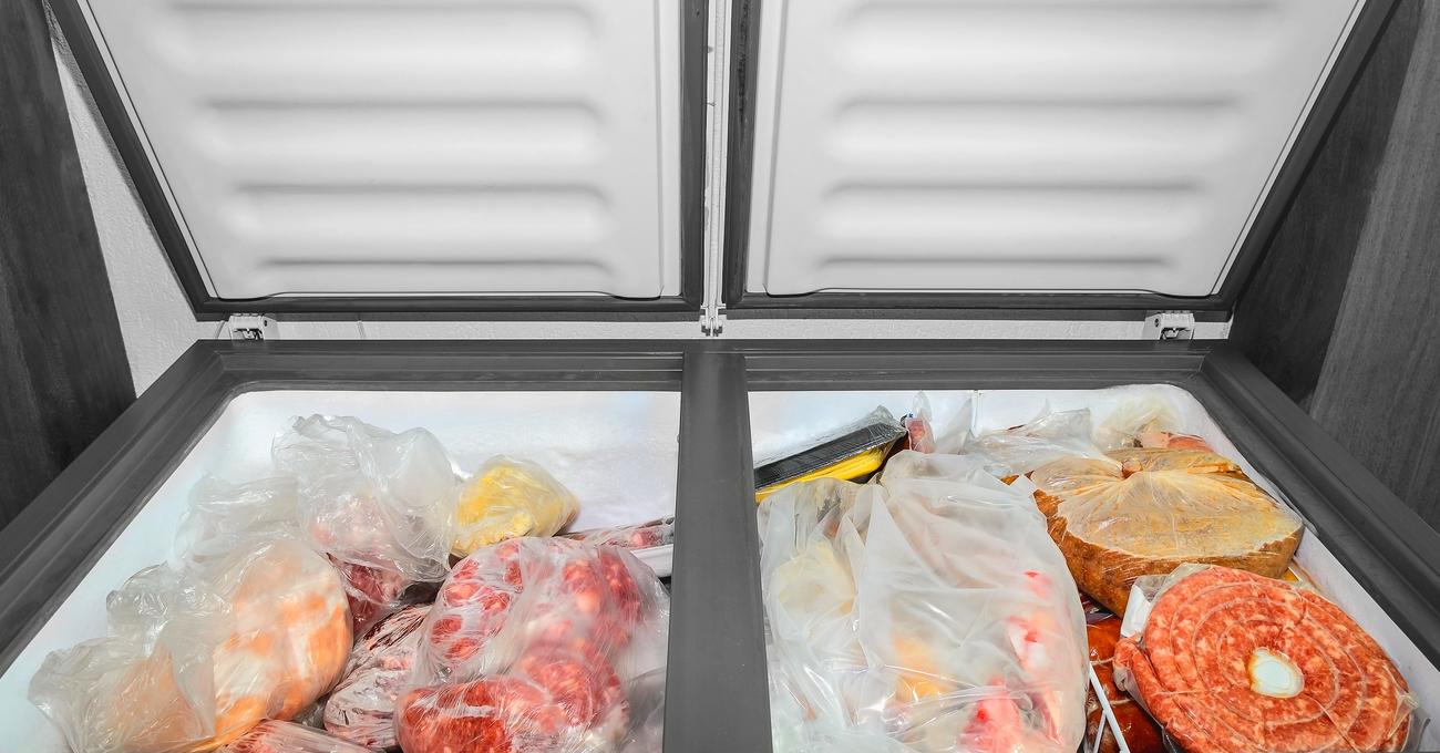 Does Freezing Kill Bacteria In Food? Build a Stash