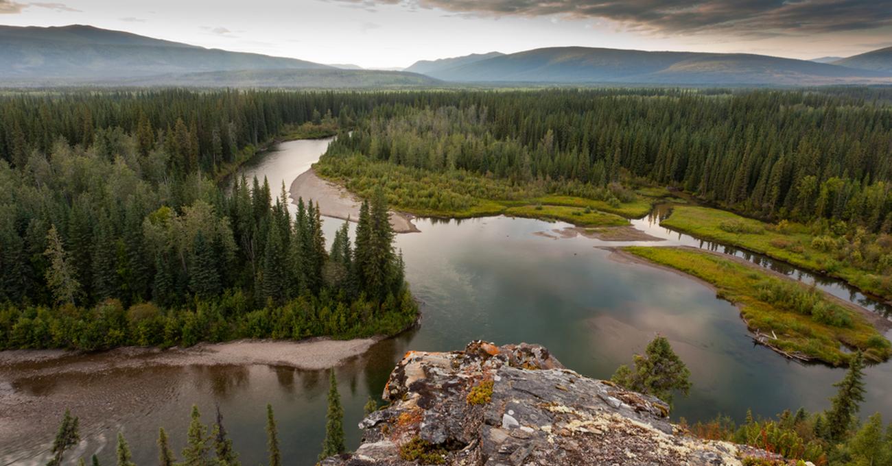 What Is The Largest Biome On Earth? Build a Stash
