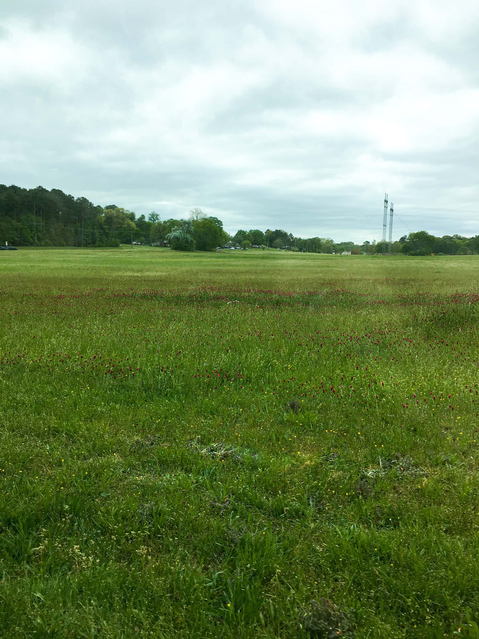 Patterson Farms Landing Page