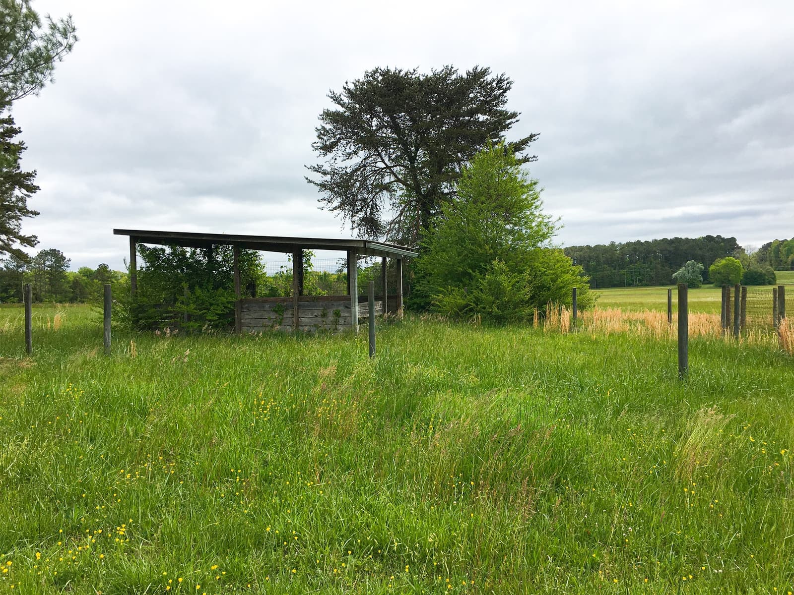 Patterson Farms Landing Page