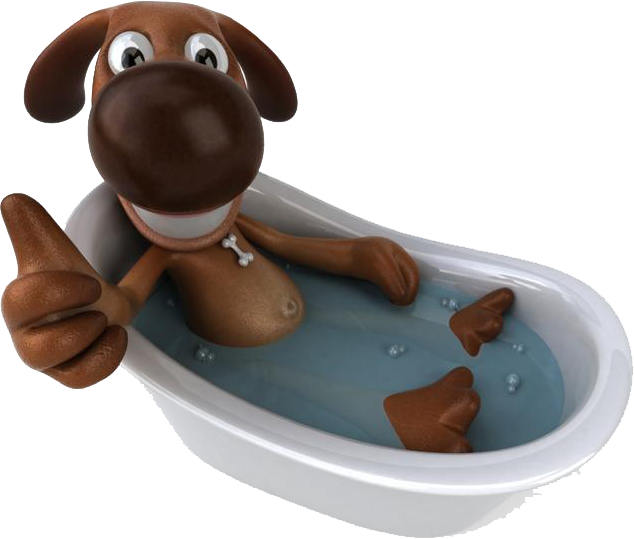 Dog Grooming Service Eastbourne Muddy Mutts