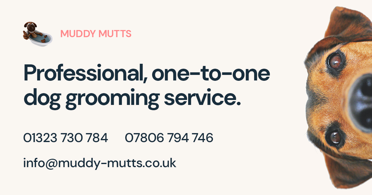 Dog Grooming Service Eastbourne Muddy Mutts
