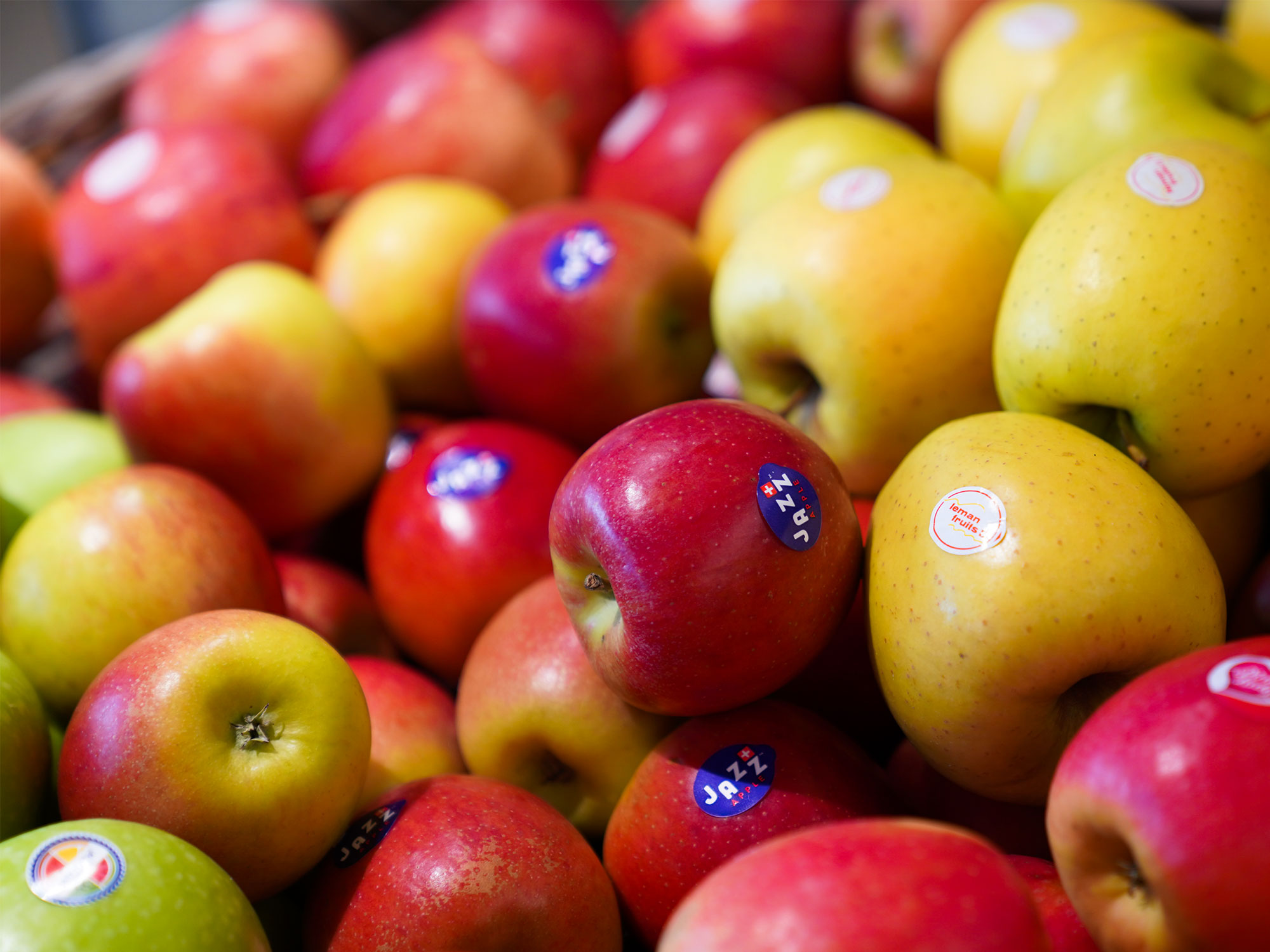Frische Schweizer Äpfel