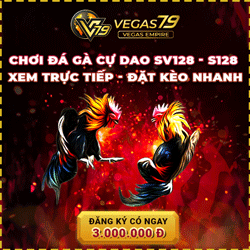 km vegas79